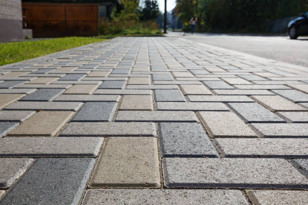 Best Driveway Paving Contractor  in Paisley, FL