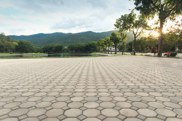 Best Decorative Driveway Pavers  in Paisley, FL